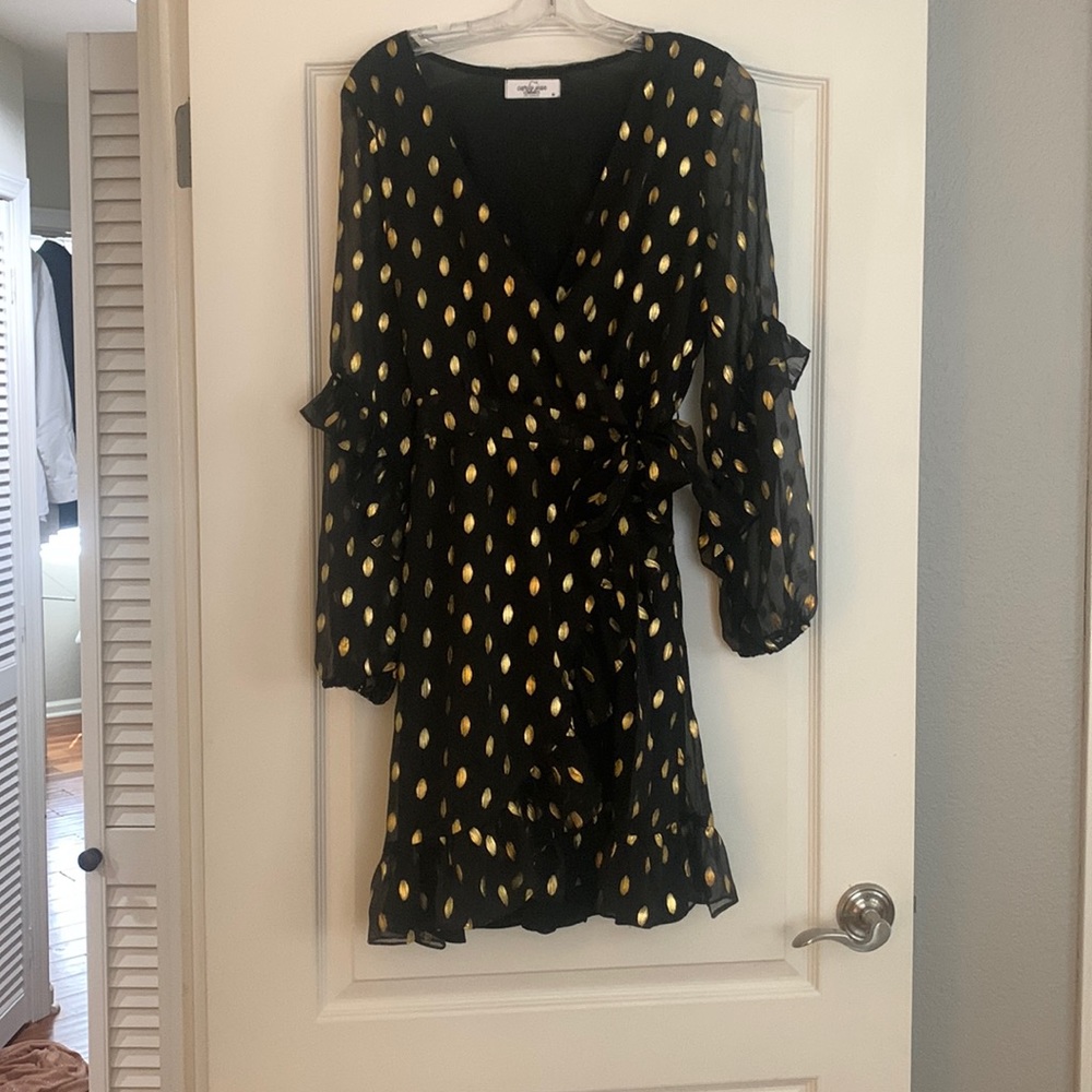 Carly Jean Los Angeles party dress!
